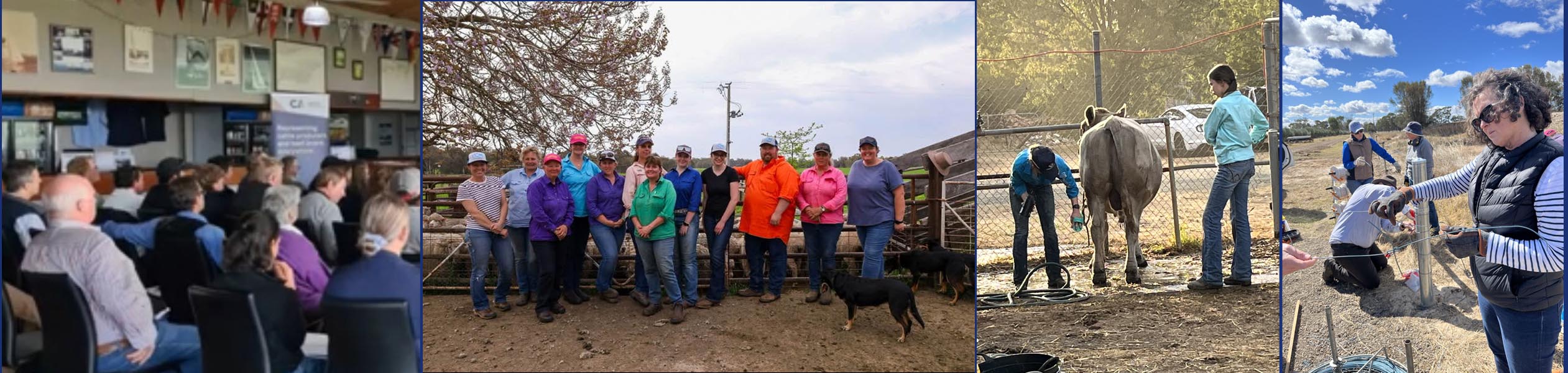Learning in Livestock - Agricultural Education